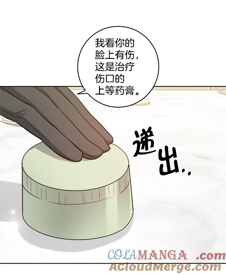《怕冷的北部大公》47.先见之明 第43页