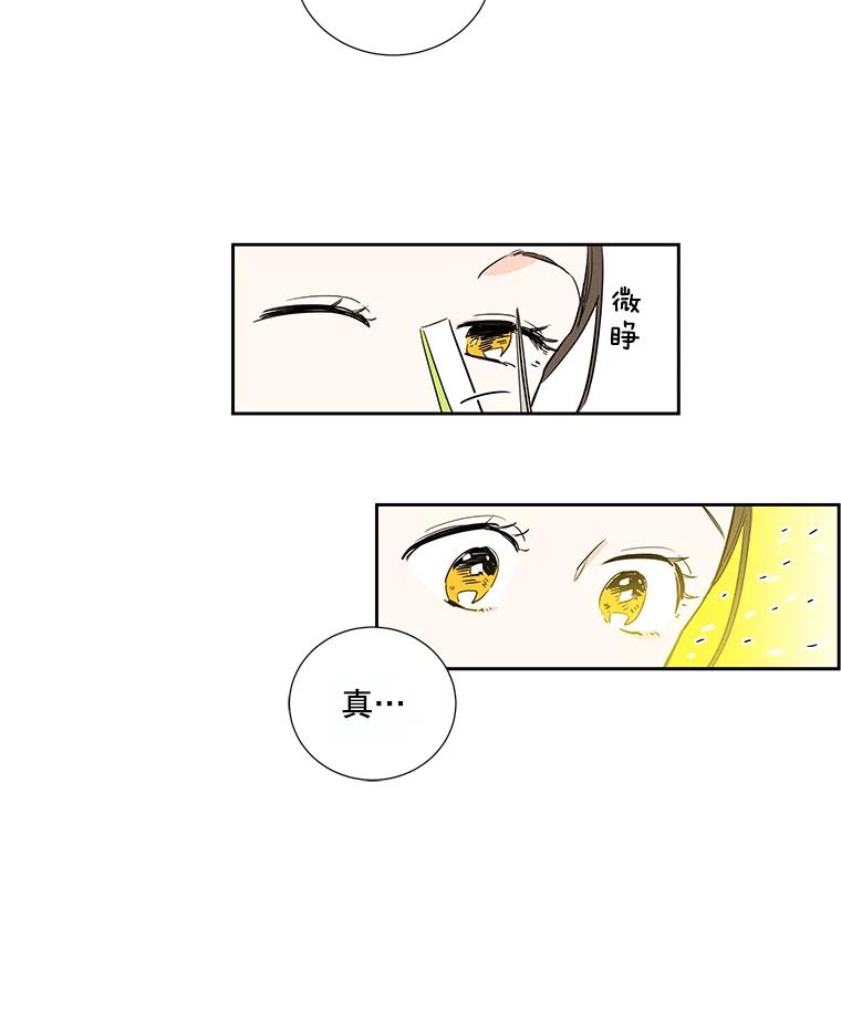 《追逐光的爱恋》4.伪粉的不易 第12页