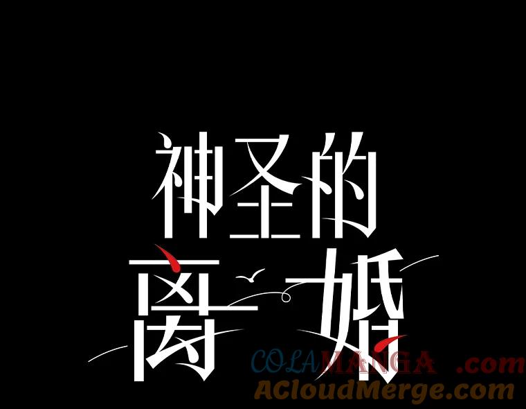 《神圣的离婚》65.谎言与真相之间（3） 第16页