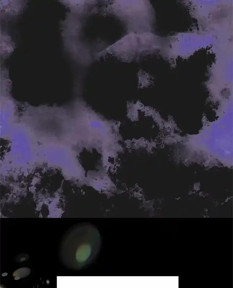《吞噬太阳的花》70.选择 第3页