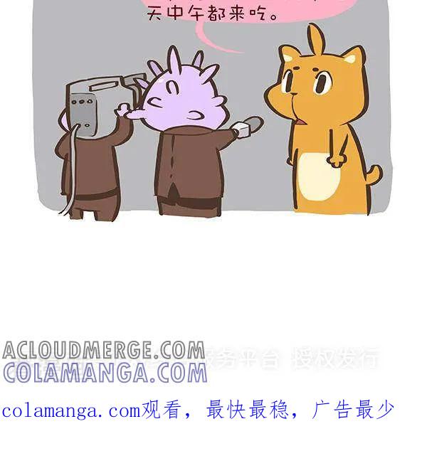 《抖抖村》六话 忠猫抖抖 第3页
