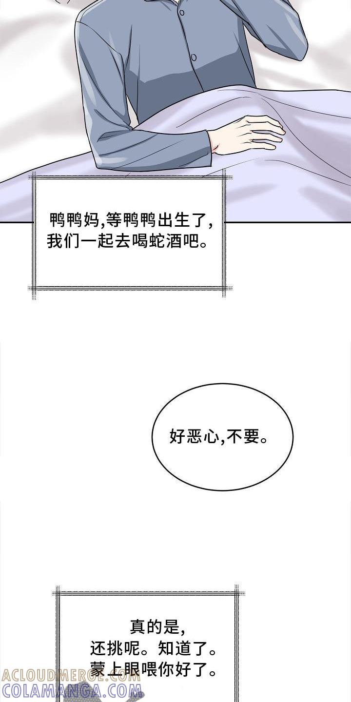 《虎的孩子》第29章：代孕 第15页