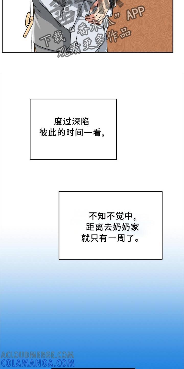 《虎的孩子》第29章：代孕 第11页
