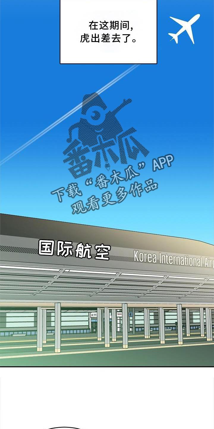 《虎的孩子》第29章：代孕 第12页