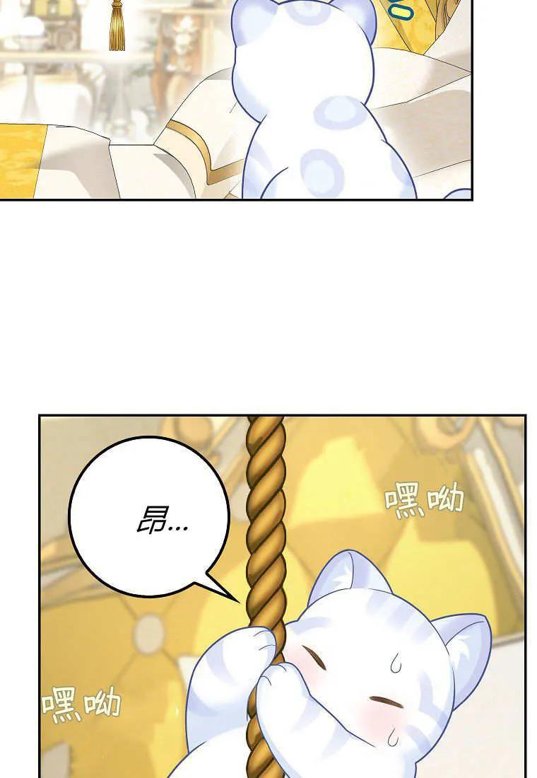 《黑豹家族的雪豹宝宝》第21话 第39页