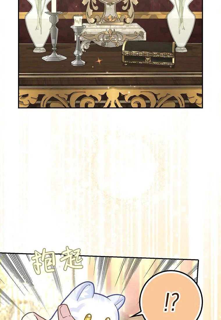 《黑豹家族的雪豹宝宝》第21话 第69页