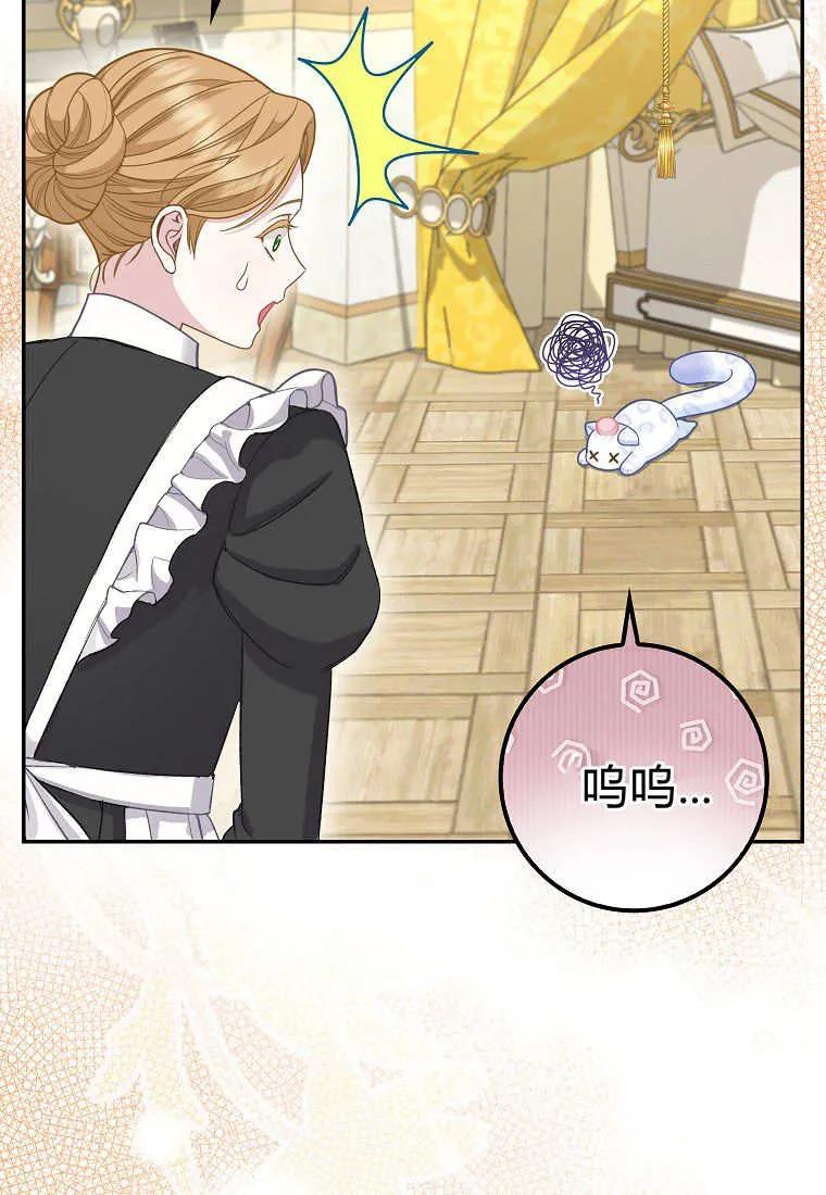 《黑豹家族的雪豹宝宝》第21话 第45页