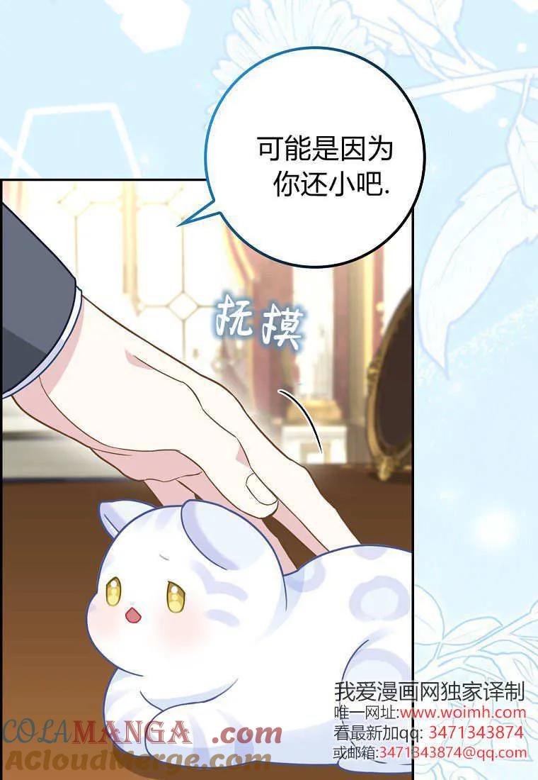 《黑豹家族的雪豹宝宝》第21话 第61页