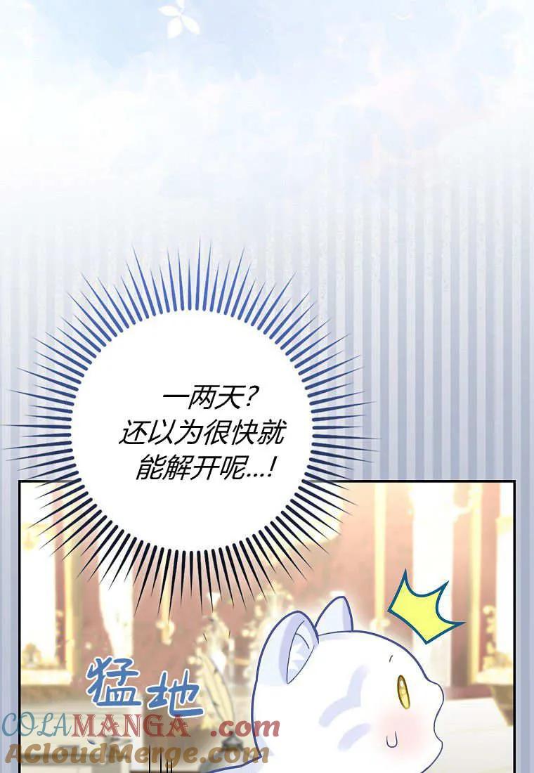 《黑豹家族的雪豹宝宝》第21话 第64页