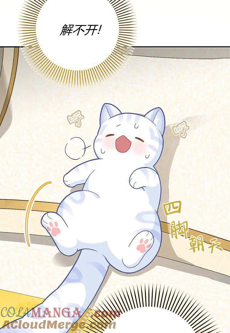 《黑豹家族的雪豹宝宝》第21话 第37页