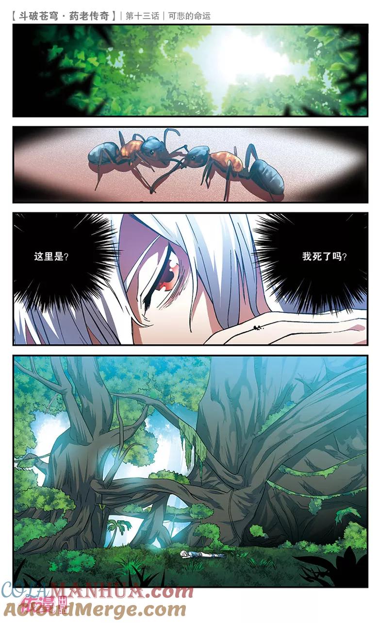 斗破苍穹之药老传奇 第13话 可悲的命运 第21页
