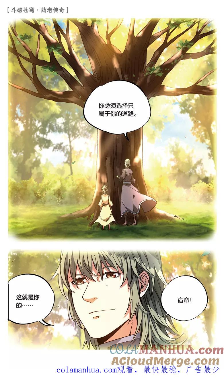 斗破苍穹之药老传奇 第73话 拍卖会混战（上） 第8页