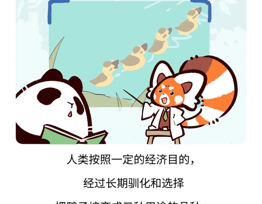 《胖达x胖达》第267话 第28页