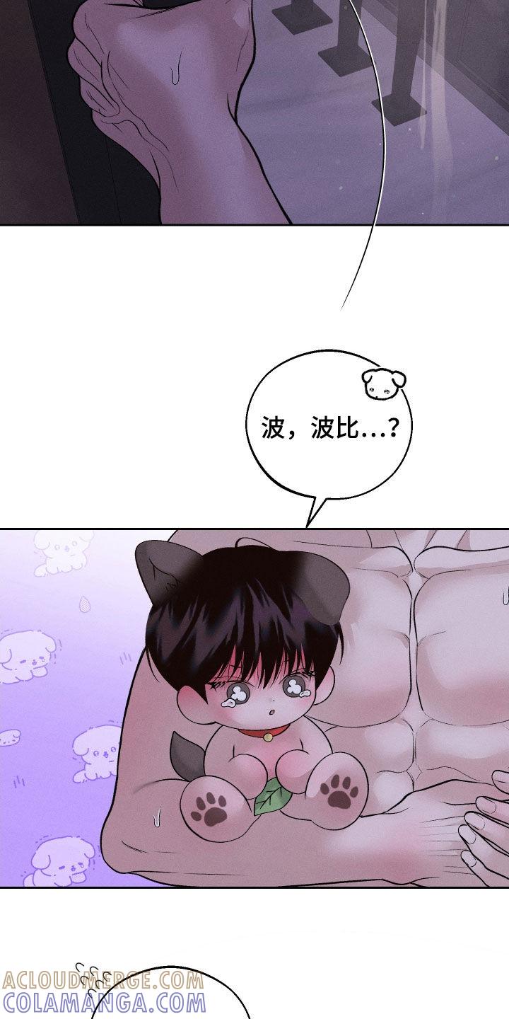 《我的救世主》第81章：【第二季】波比 第21页