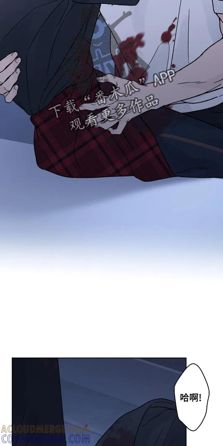 《狂夜追凶》第91章：【第二季】实际利益 第15页