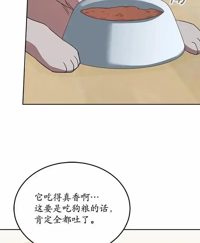 《你好？兽医先生！》66.心软的神（1） 第95页