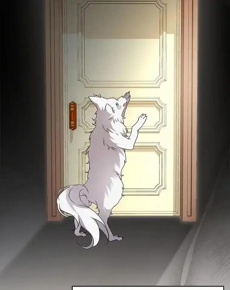 《狼犬男主的驯养师》73.醒过来好不好？ 第92页