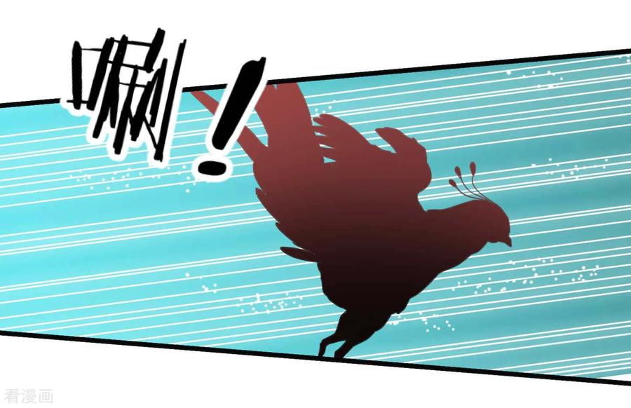 《读档皇后》第205话 五彩锦鸡 第12页