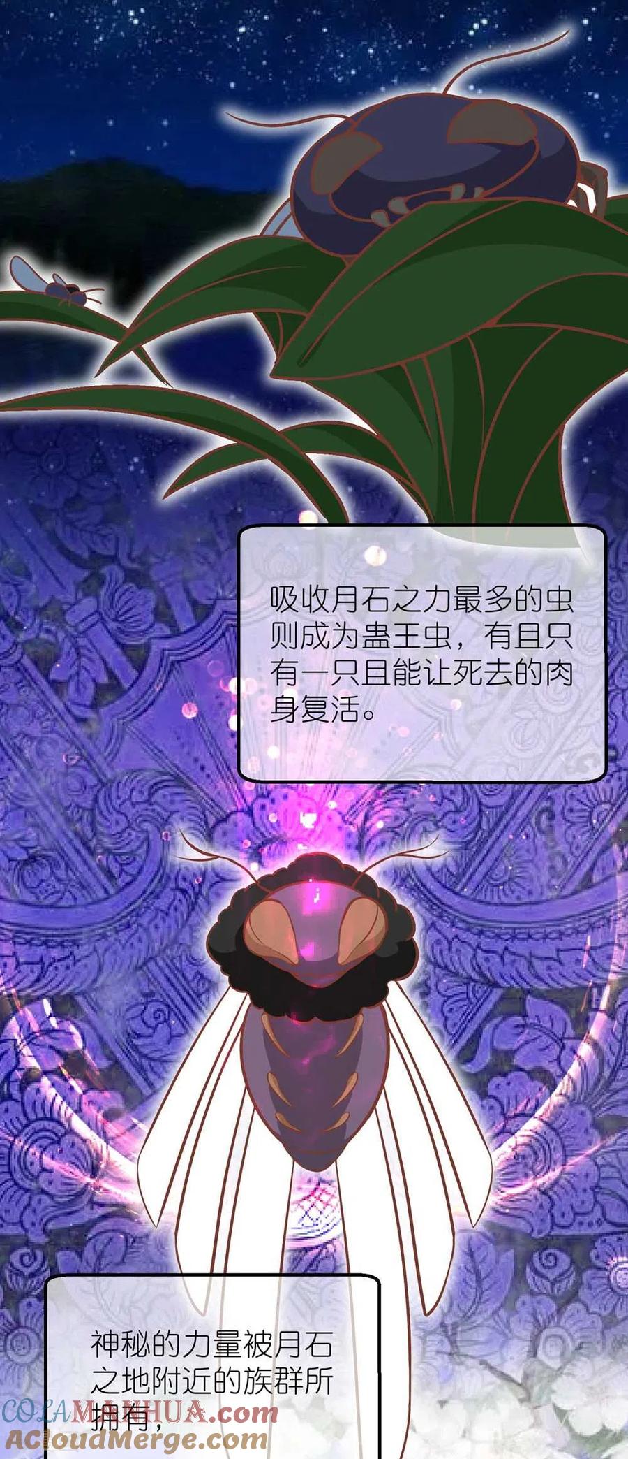 《读档皇后》三季第70话 命不由已 第3页