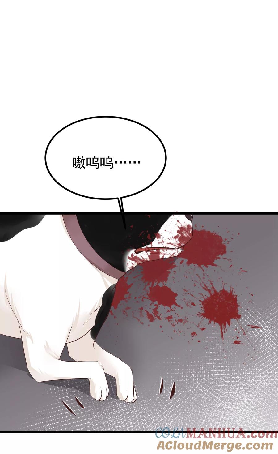 《读档皇后》第77话 打死这只狗 第11页