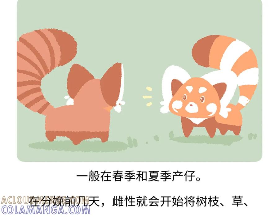 《胖达x胖达》第260话 第27页