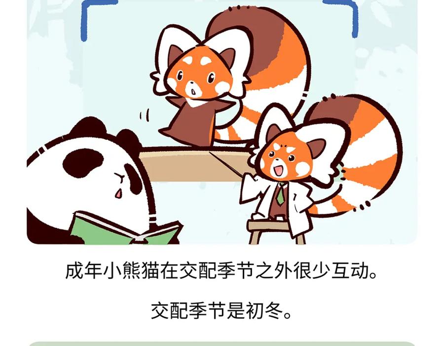 《胖达x胖达》第260话 第26页