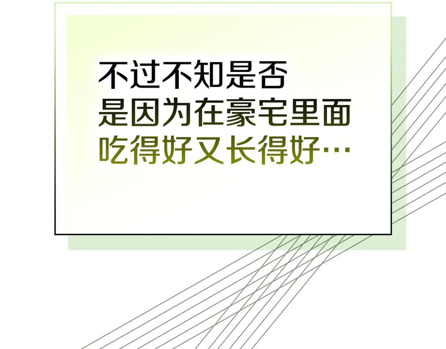 《配角决定成为假替身》第34话 难道我喜欢她 第120页