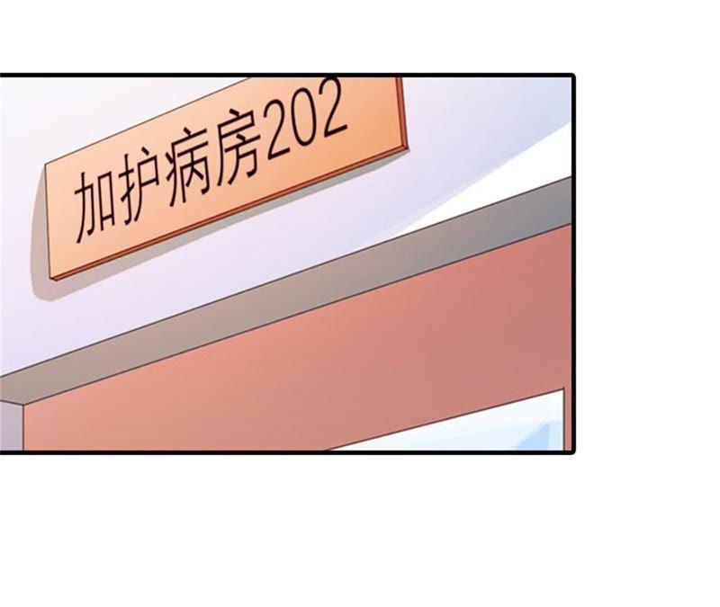 《误入婚途：叛逆娇妻不好惹》见面车祸 第51页