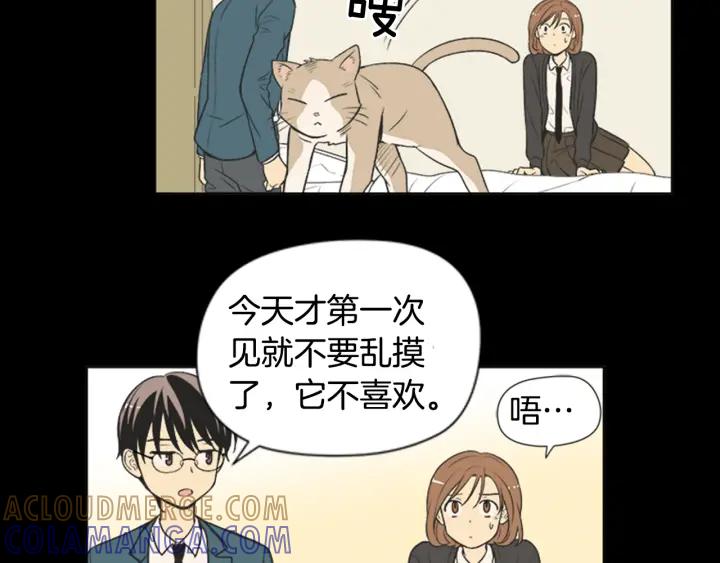 《不能恋爱的房间》第61话 土豪养猫法 第19页