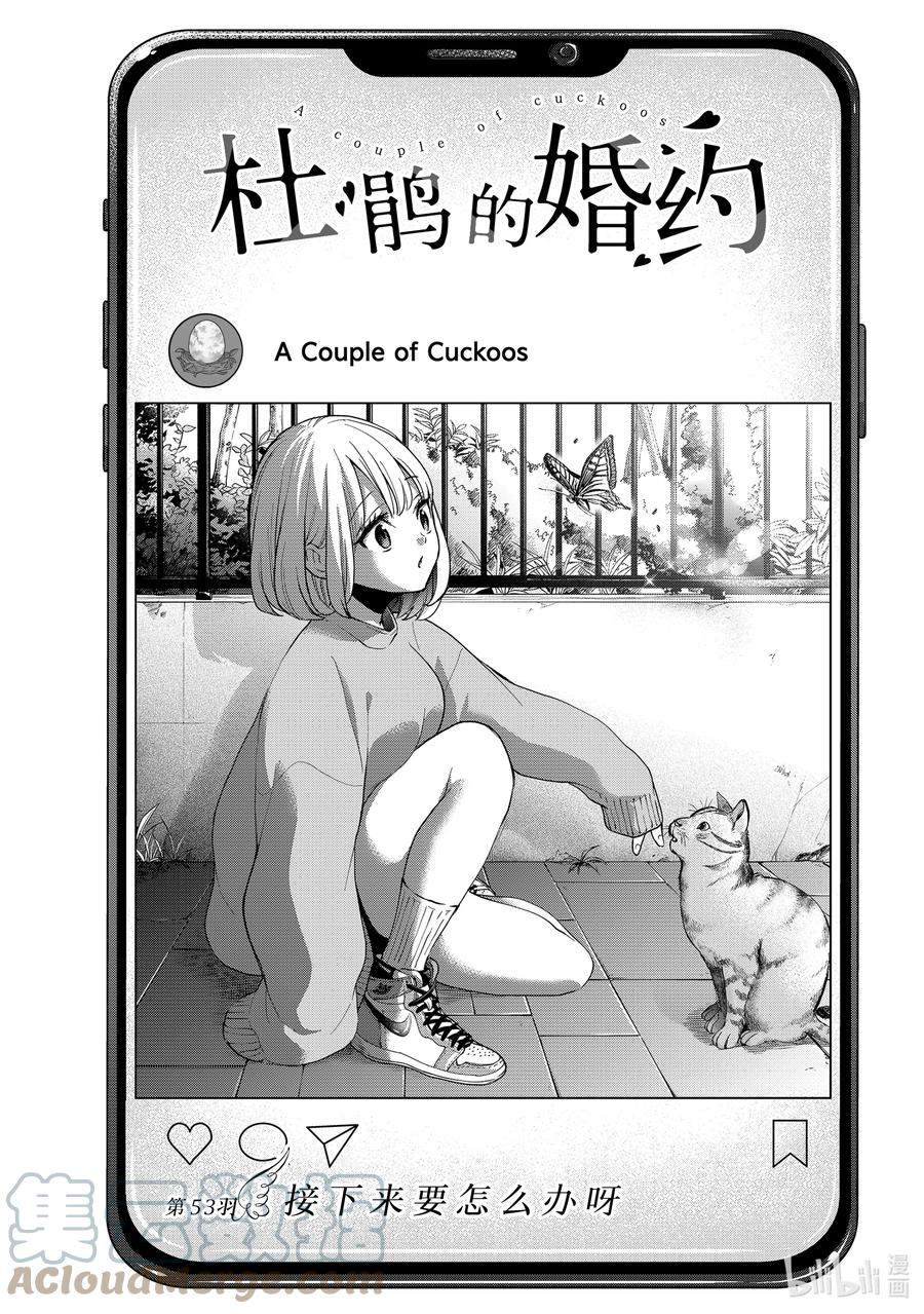 《杜鹃的婚约》53 接下来要怎么办呀 第1页