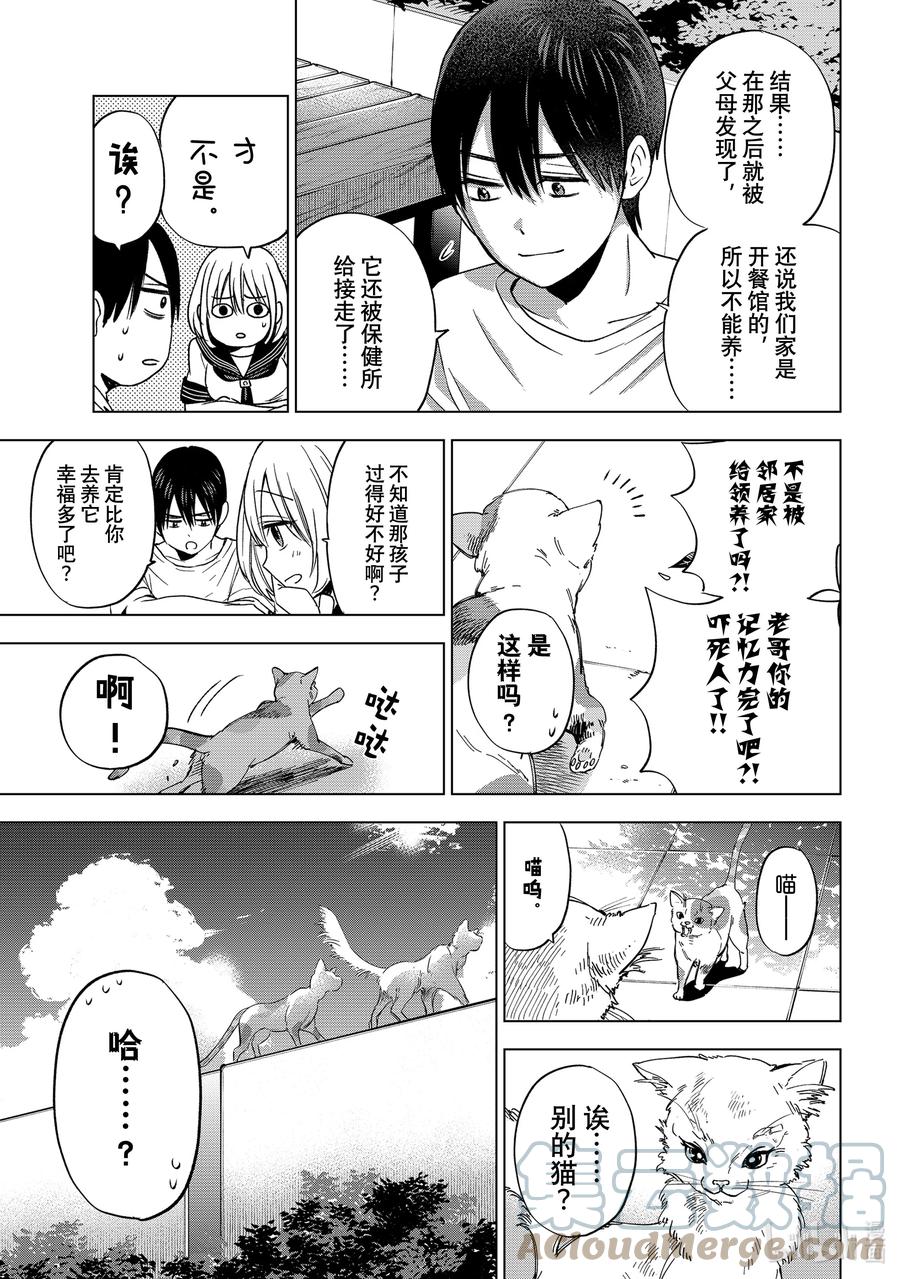 《杜鹃的婚约》61 我是不会结婚的啦！！ 第11页