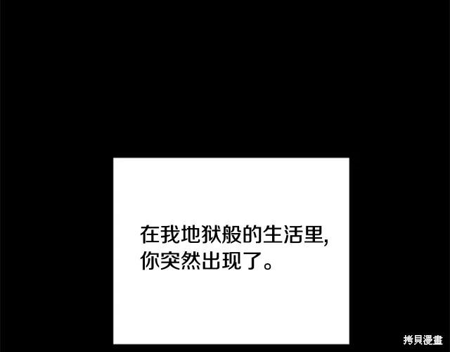《明明是冷美人小姐却变成了忠犬大少爷》第12话 第206页