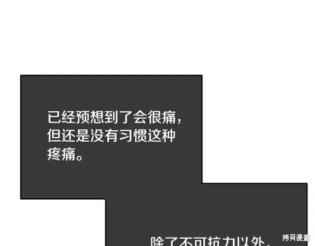 《明明是冷美人小姐却变成了忠犬大少爷》第12话 第96页