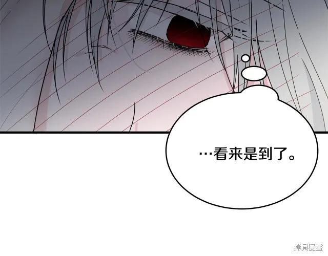 《明明是冷美人小姐却变成了忠犬大少爷》第13话 第16页
