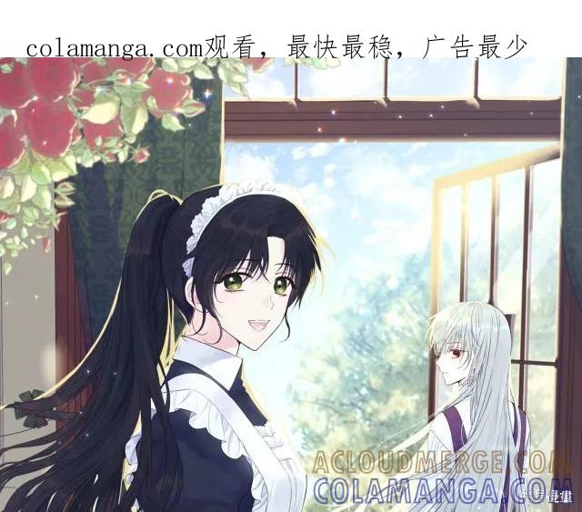 《明明是冷美人小姐却变成了忠犬大少爷》第13话 第1页