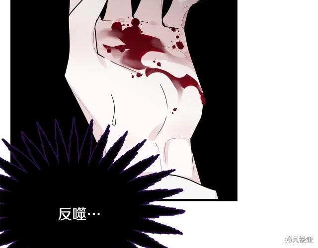 《明明是冷美人小姐却变成了忠犬大少爷》第13话 第48页
