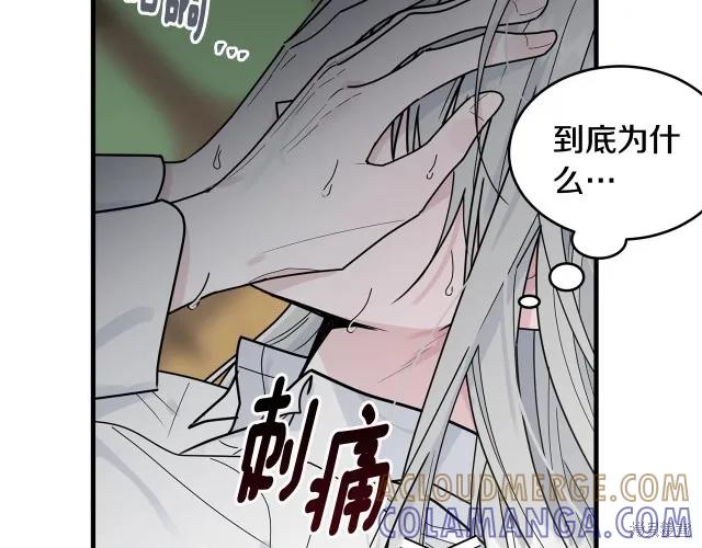 《明明是冷美人小姐却变成了忠犬大少爷》第13话 第13页