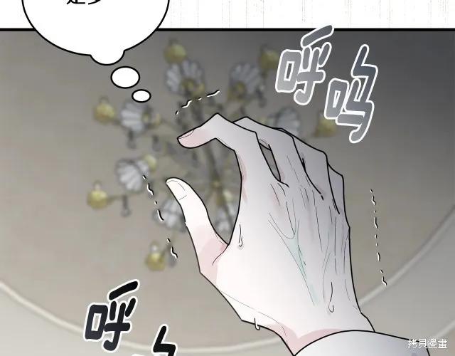 《明明是冷美人小姐却变成了忠犬大少爷》第13话 第10页