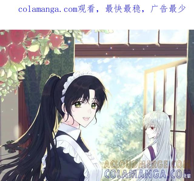 《明明是冷美人小姐却变成了忠犬大少爷》第14话 第1页