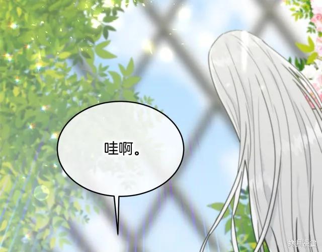 《明明是冷美人小姐却变成了忠犬大少爷》第14话 第178页