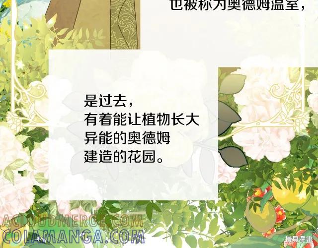 《明明是冷美人小姐却变成了忠犬大少爷》第14话 第173页