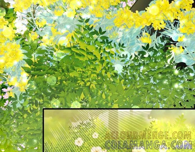 《明明是冷美人小姐却变成了忠犬大少爷》第14话 第181页