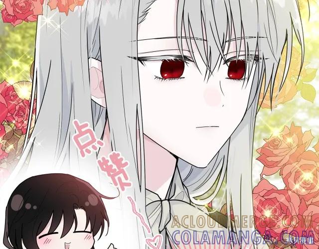 《明明是冷美人小姐却变成了忠犬大少爷》第15话 第17页