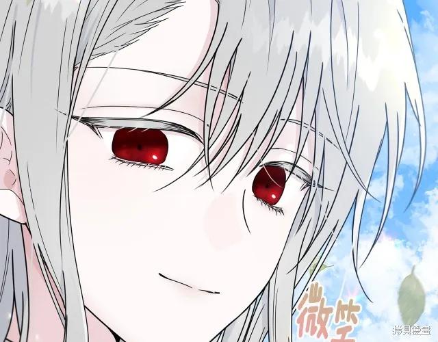 《明明是冷美人小姐却变成了忠犬大少爷》第15话 第174页