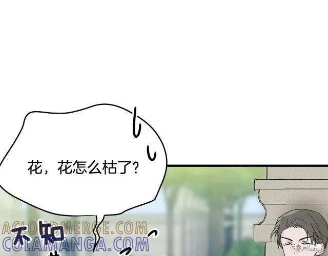 《明明是冷美人小姐却变成了忠犬大少爷》第15话 第97页