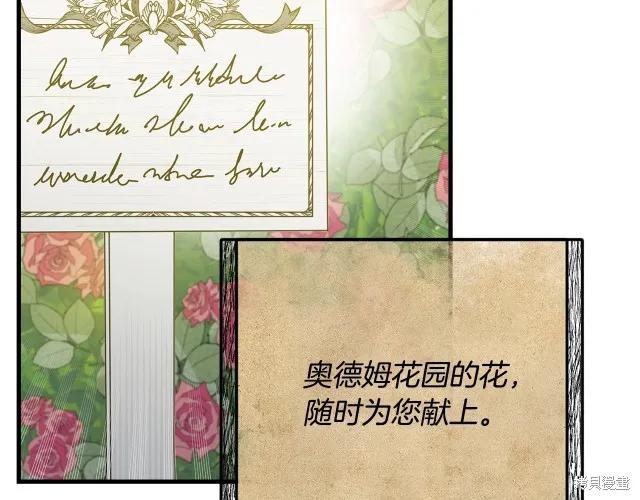 《明明是冷美人小姐却变成了忠犬大少爷》第15话 第36页