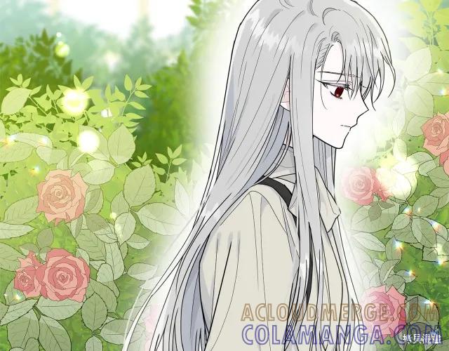 《明明是冷美人小姐却变成了忠犬大少爷》第15话 第13页