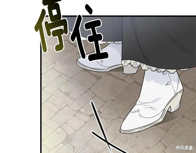 《明明是冷美人小姐却变成了忠犬大少爷》第15话 第164页