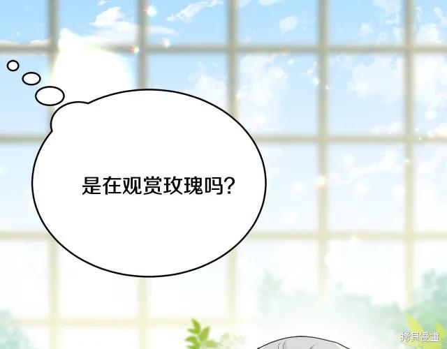 《明明是冷美人小姐却变成了忠犬大少爷》第15话 第12页