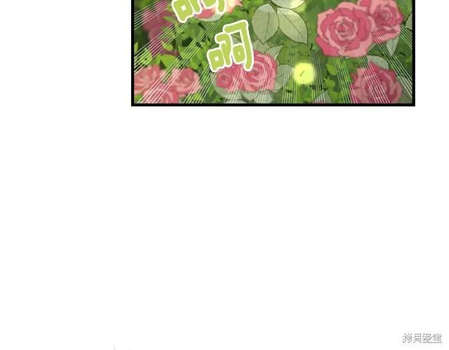 《明明是冷美人小姐却变成了忠犬大少爷》第15话 第39页